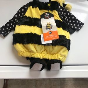 0-6 months bumble bee Halloween costume